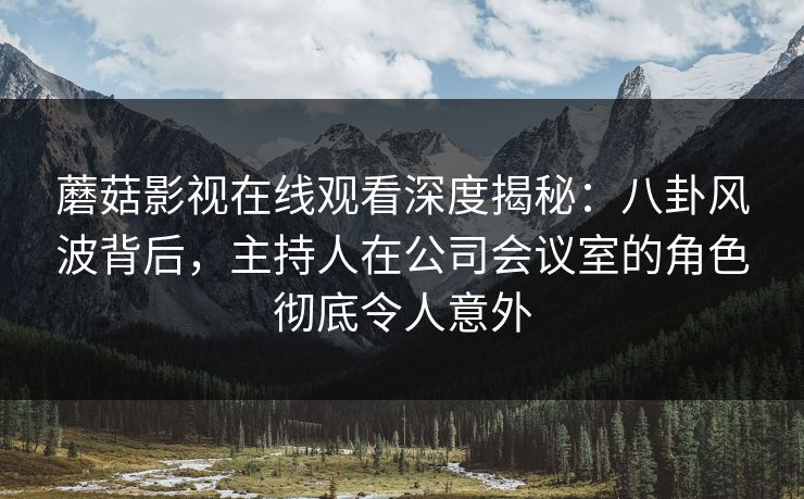 蘑菇影视在线观看深度揭秘：八卦风波背后，主持人在公司会议室的角色彻底令人意外