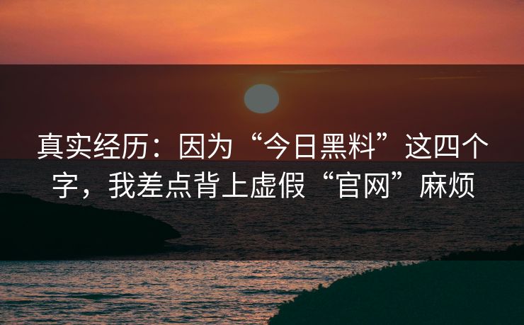 真实经历：因为“今日黑料”这四个字，我差点背上虚假“官网”麻烦