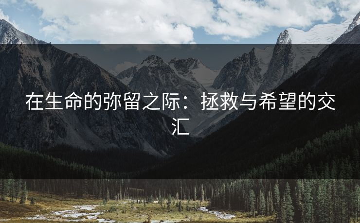 在生命的弥留之际：拯救与希望的交汇