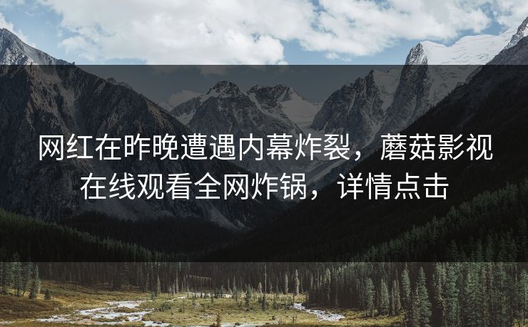 网红在昨晚遭遇内幕炸裂，蘑菇影视在线观看全网炸锅，详情点击